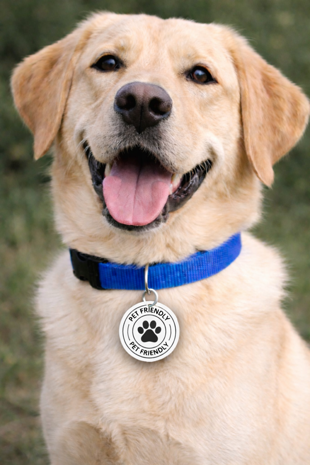 PET TAG 06